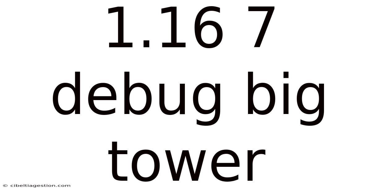 1.16 7 Debug Big Tower