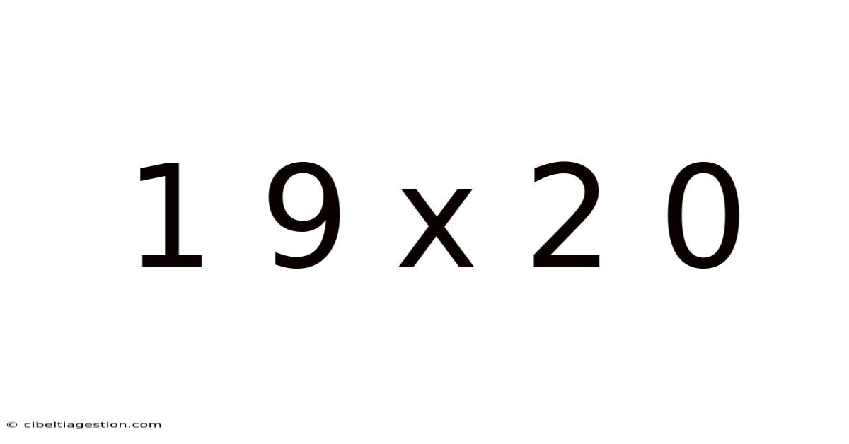 1 9 X 2 0