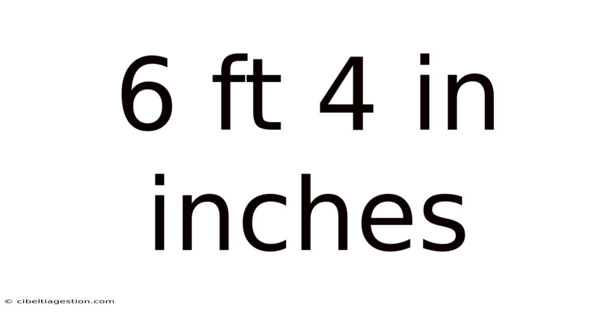 6 Ft 4 In Inches