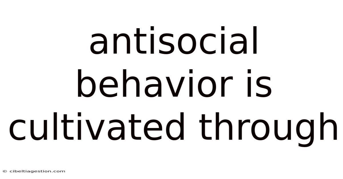 Antisocial Behavior Is Cultivated Through