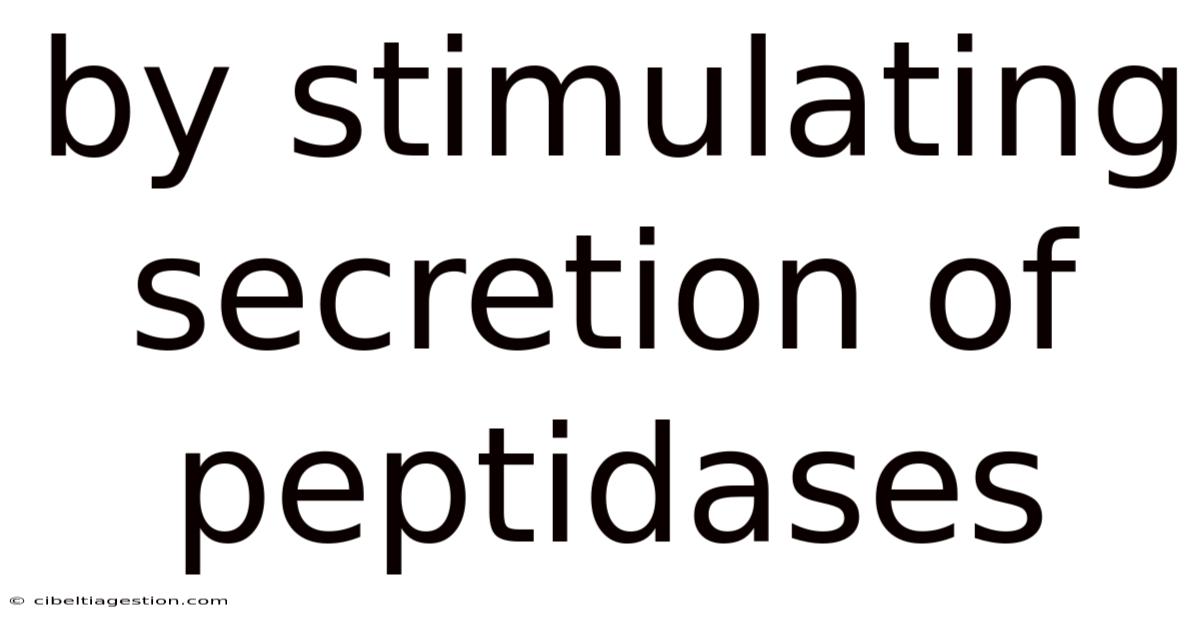 By Stimulating Secretion Of Peptidases