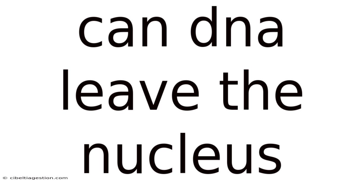 Can Dna Leave The Nucleus