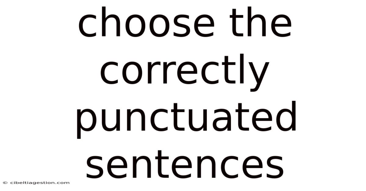 Choose The Correctly Punctuated Sentences