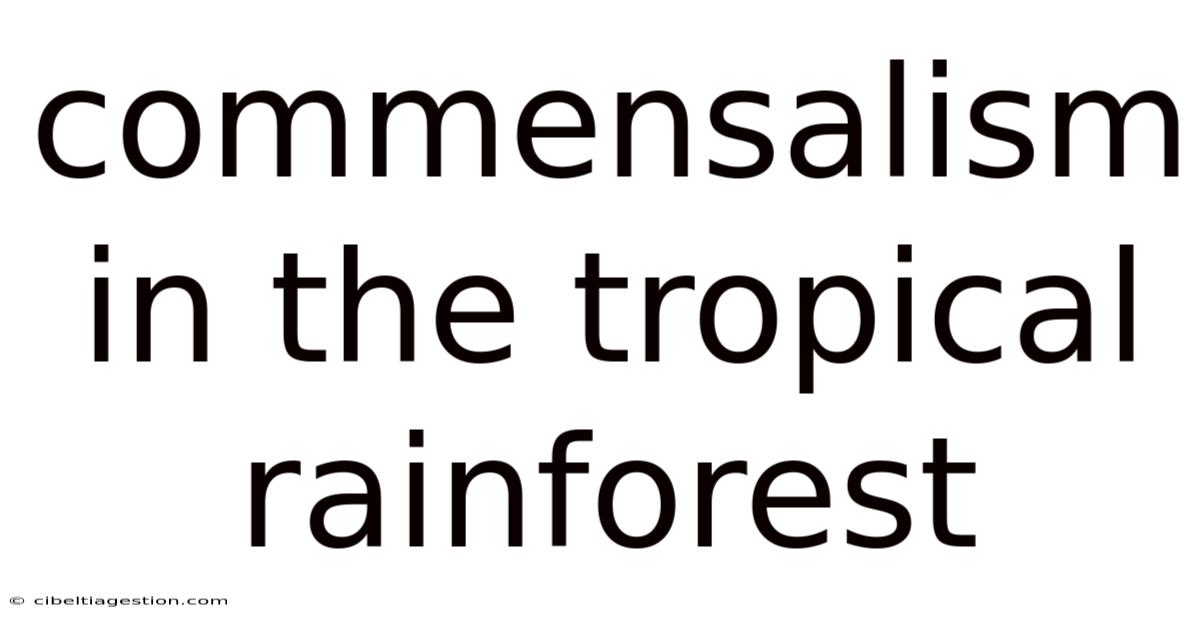 Commensalism In The Tropical Rainforest