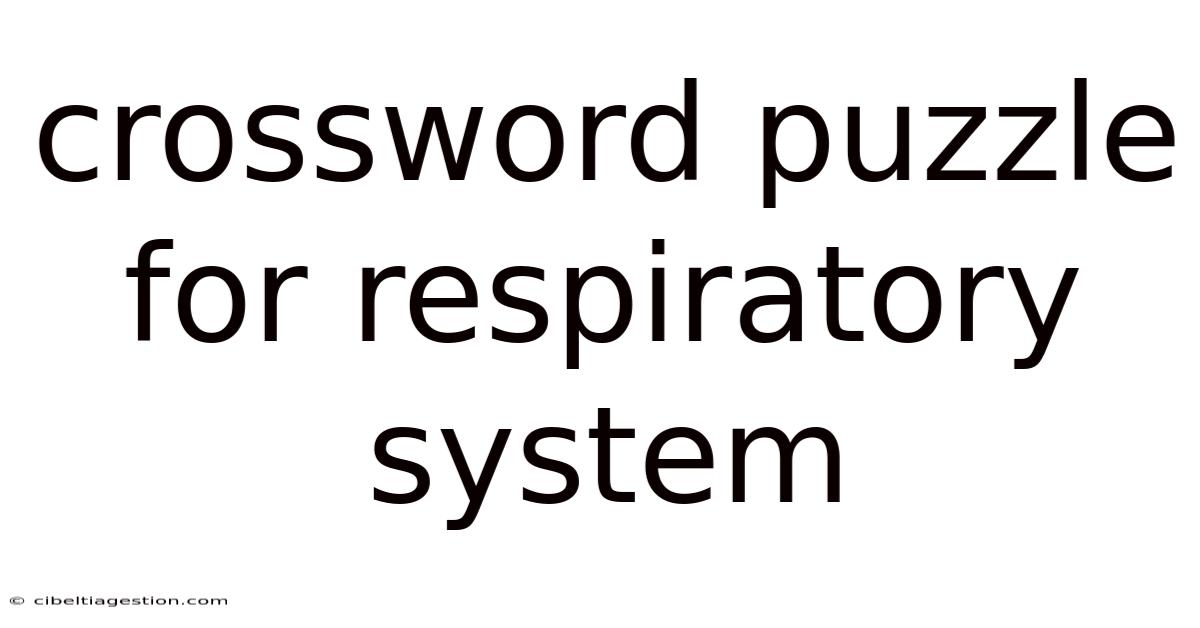 Crossword Puzzle For Respiratory System