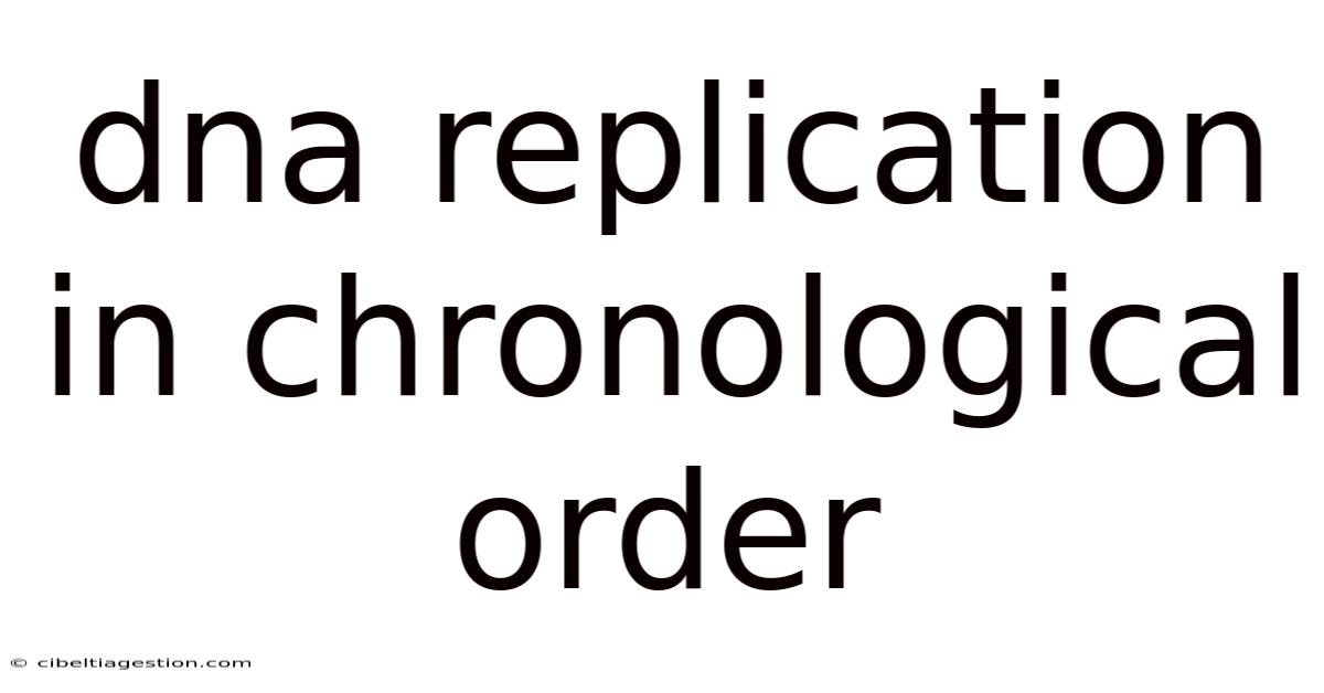 Dna Replication In Chronological Order