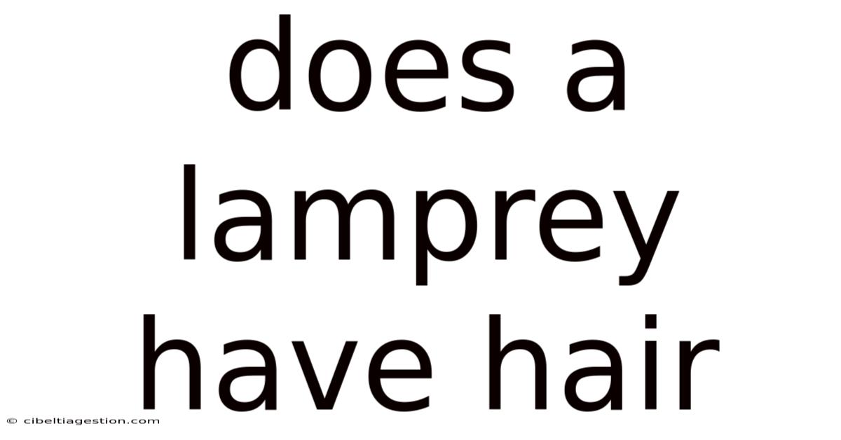 Does A Lamprey Have Hair