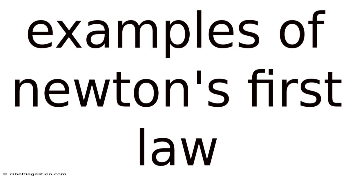 Examples Of Newton's First Law
