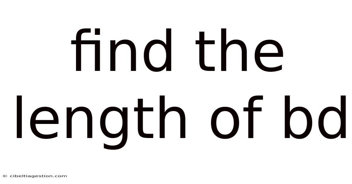 Find The Length Of Bd