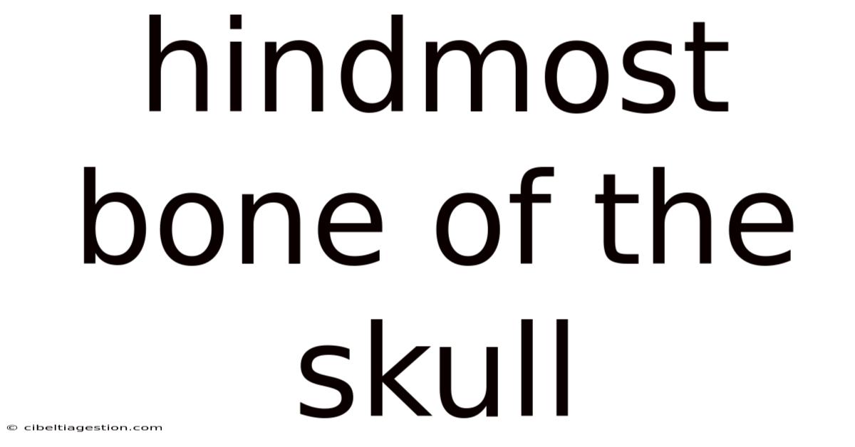 Hindmost Bone Of The Skull