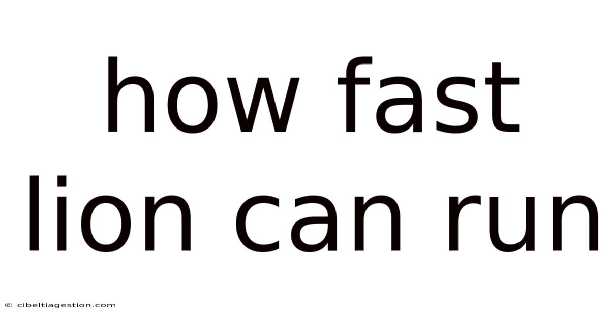 How Fast Lion Can Run