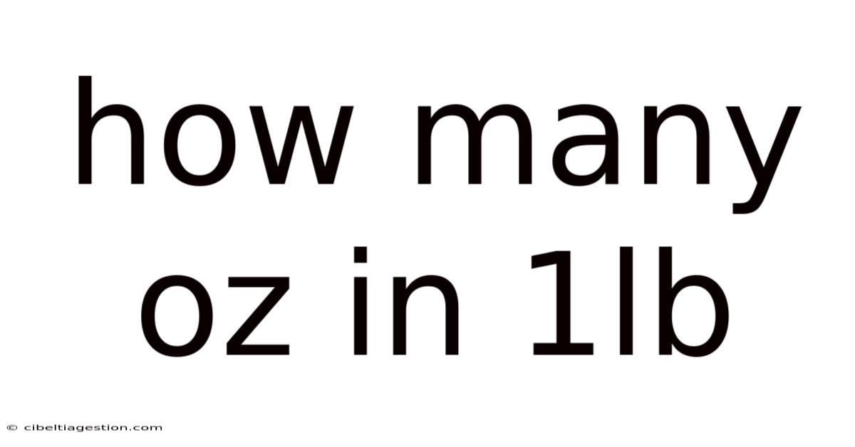 How Many Oz In 1lb
