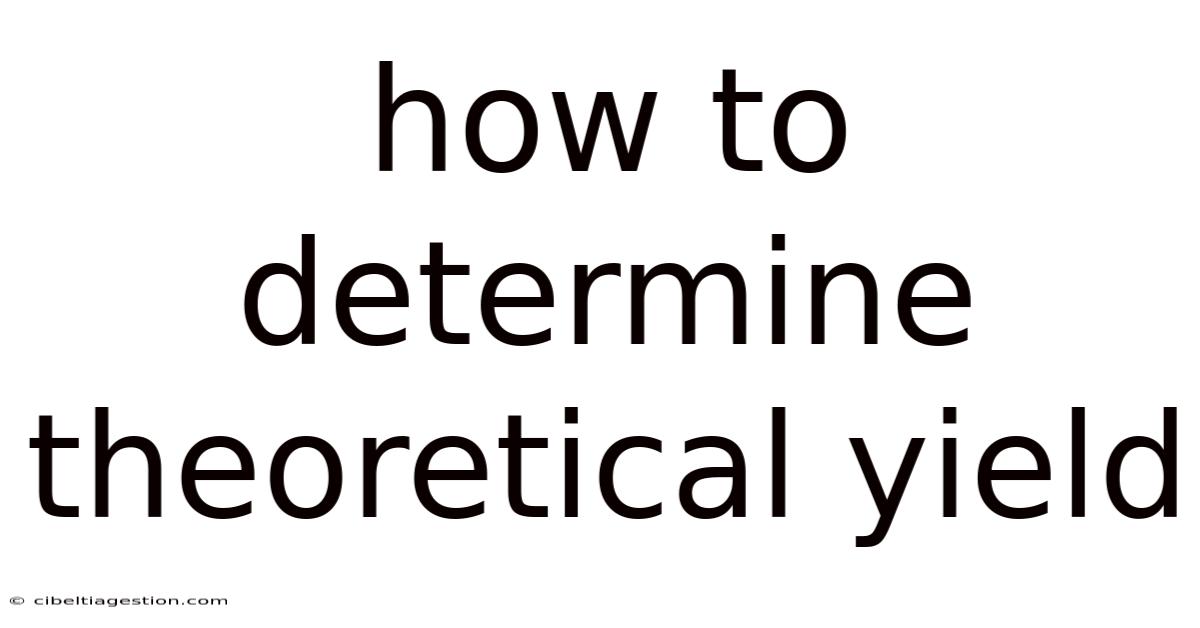 How To Determine Theoretical Yield