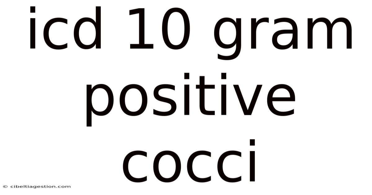 Icd 10 Gram Positive Cocci