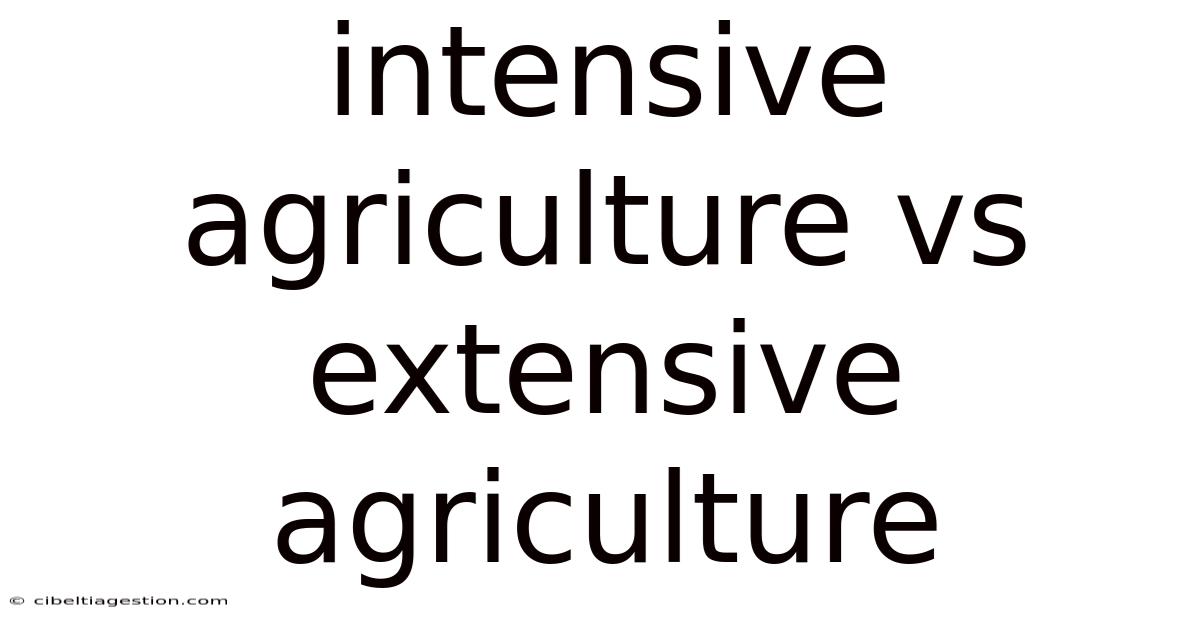 Intensive Agriculture Vs Extensive Agriculture