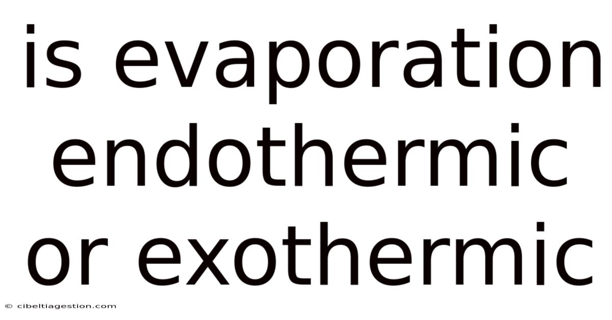 Is Evaporation Endothermic Or Exothermic
