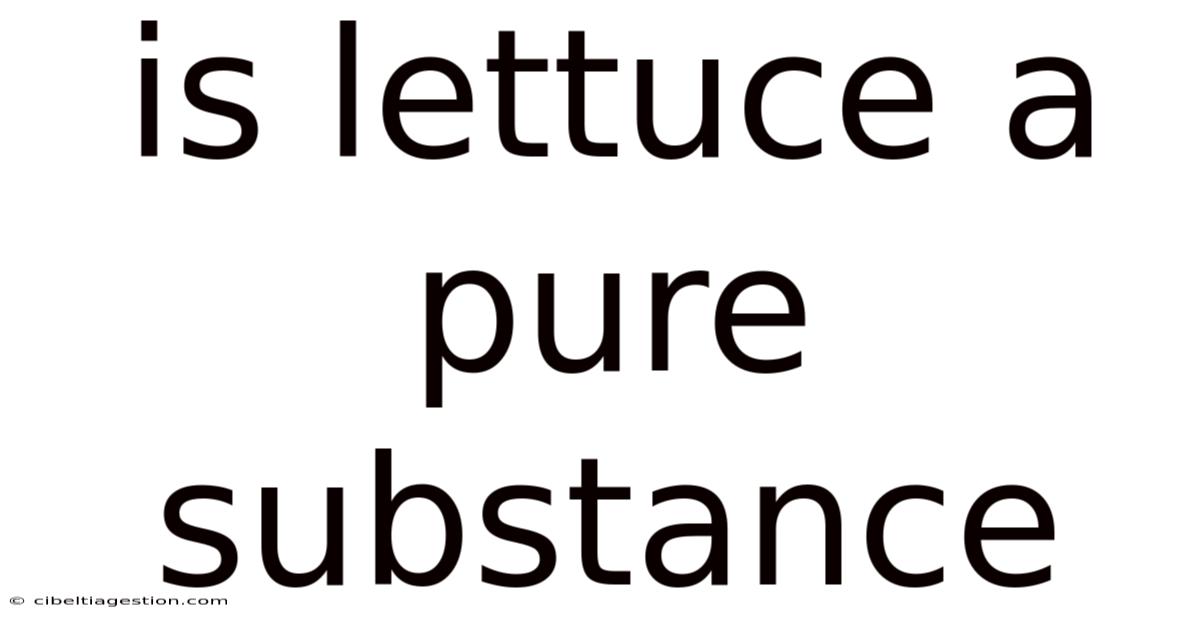 Is Lettuce A Pure Substance