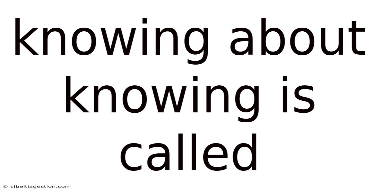 Knowing About Knowing Is Called