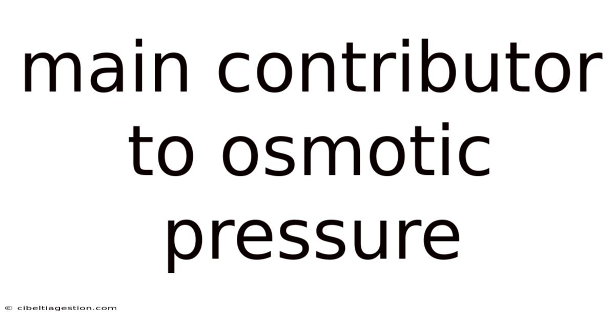 Main Contributor To Osmotic Pressure