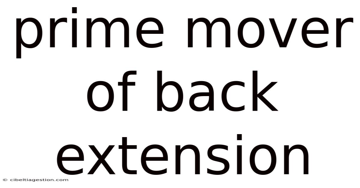 Prime Mover Of Back Extension