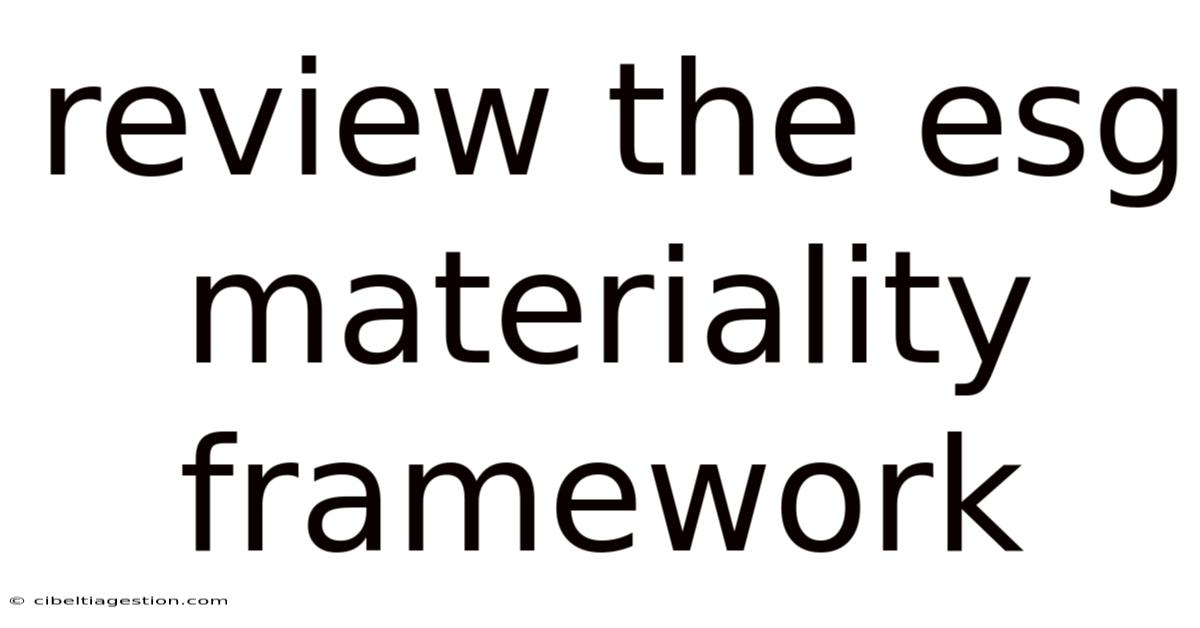 Review The Esg Materiality Framework