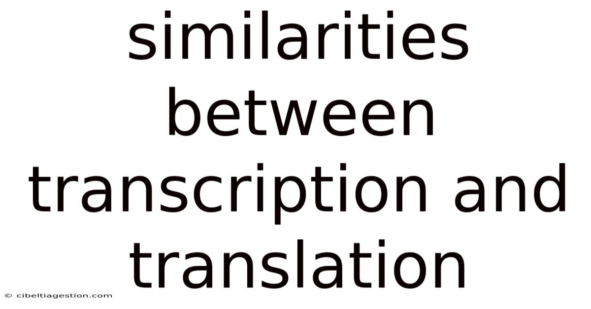 Similarities Between Transcription And Translation