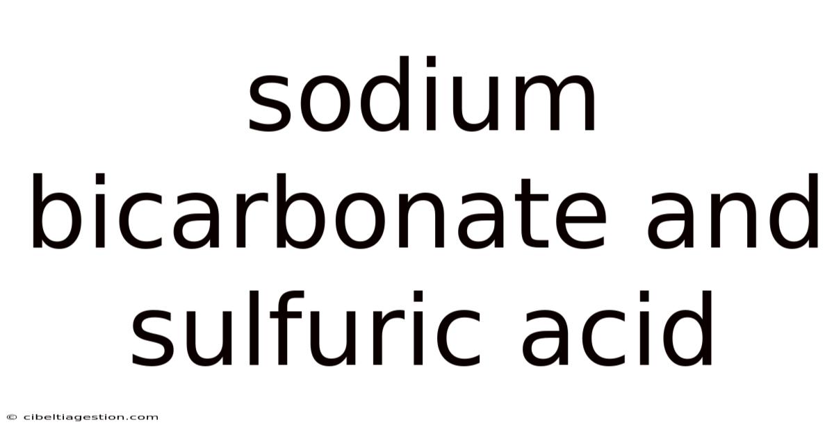 Sodium Bicarbonate And Sulfuric Acid