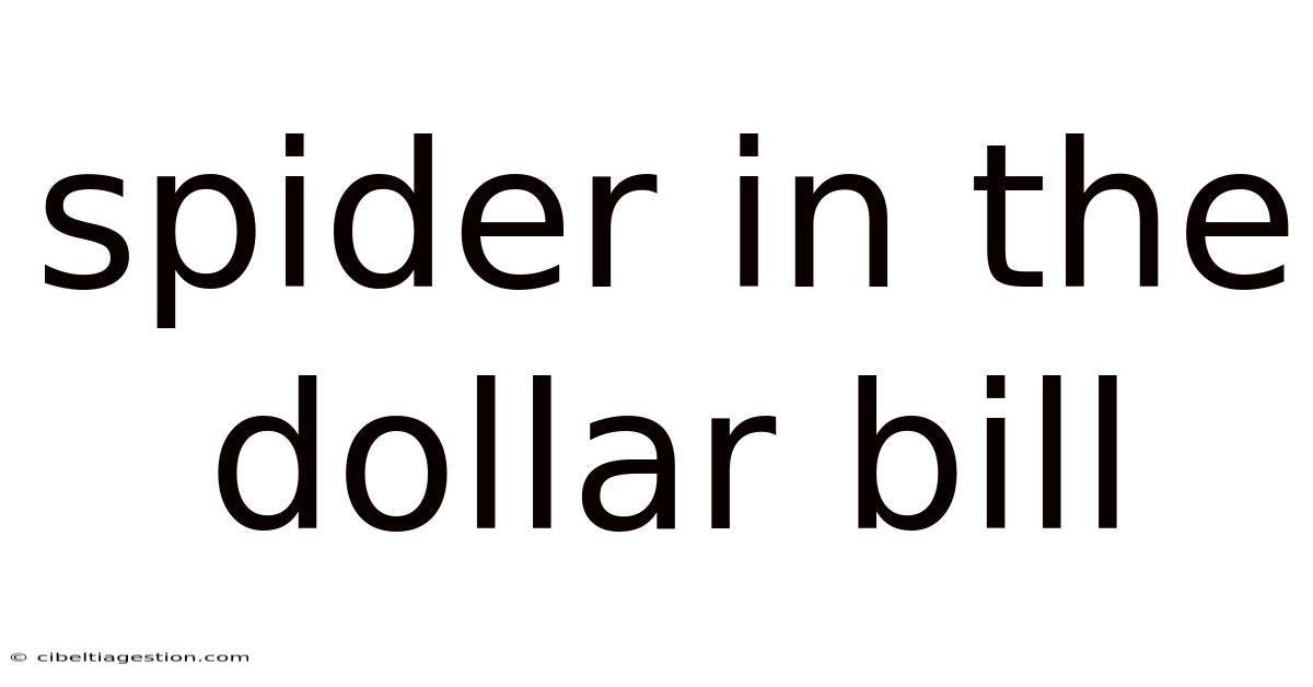 Spider In The Dollar Bill