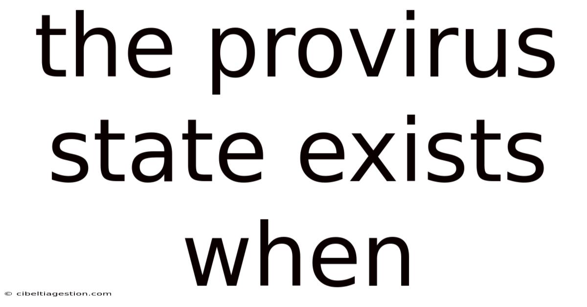 The Provirus State Exists When
