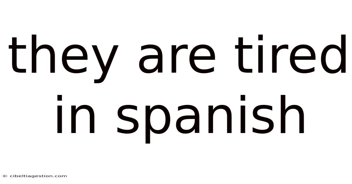 They Are Tired In Spanish