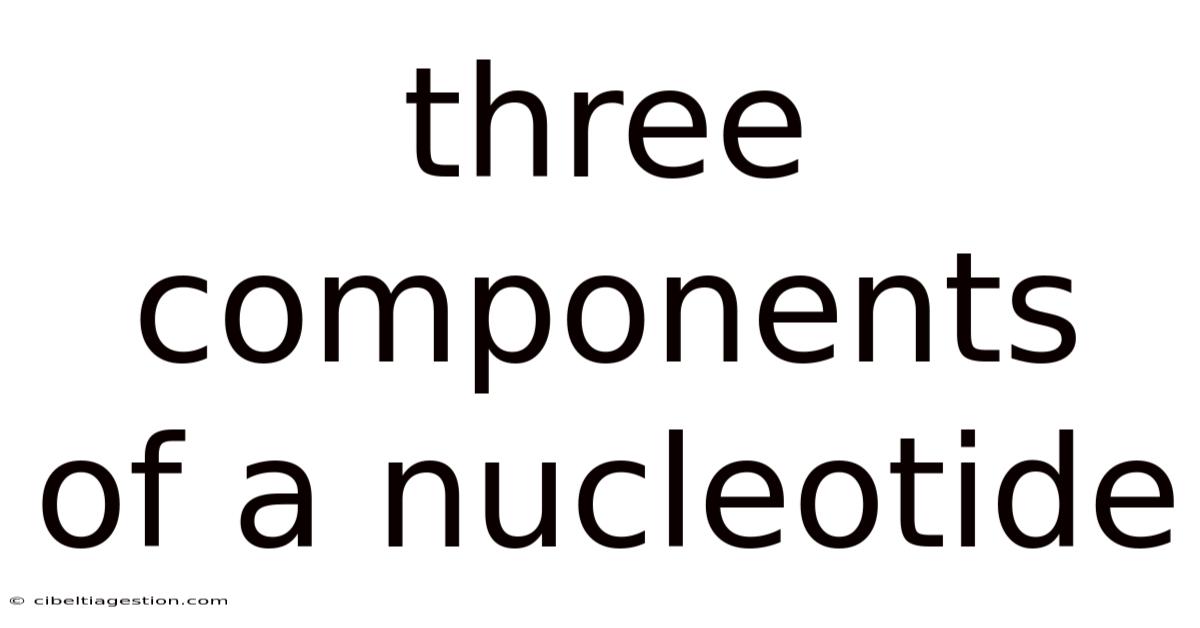 Three Components Of A Nucleotide