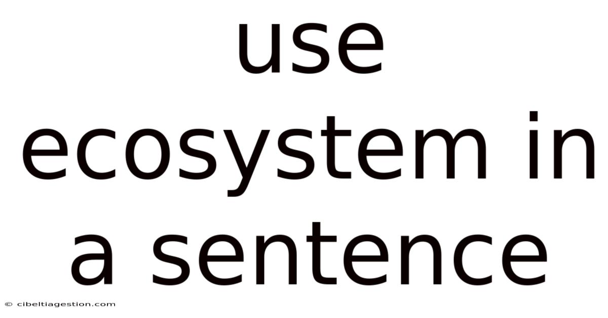 Use Ecosystem In A Sentence