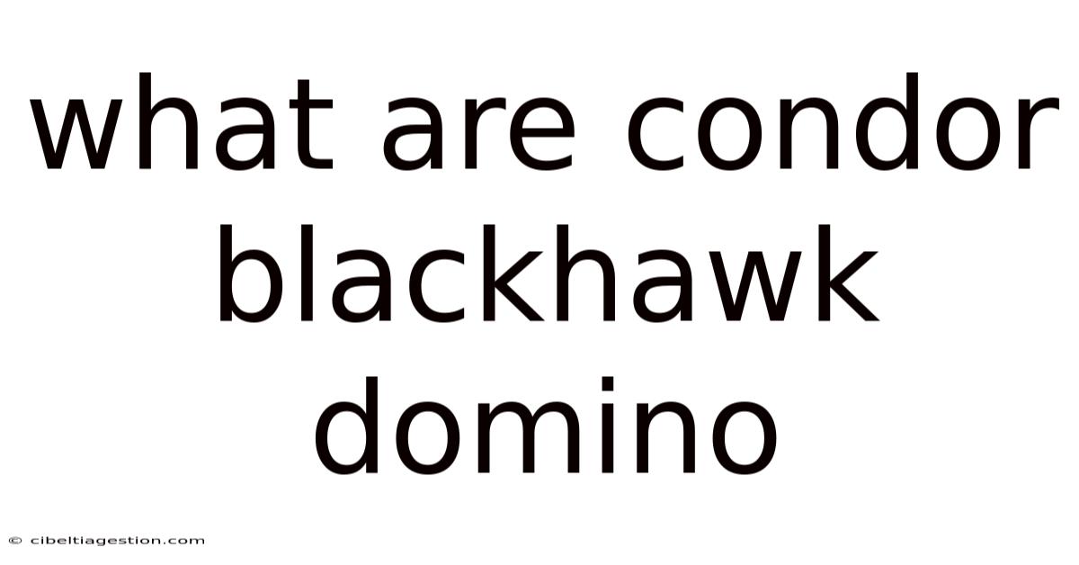 What Are Condor Blackhawk Domino