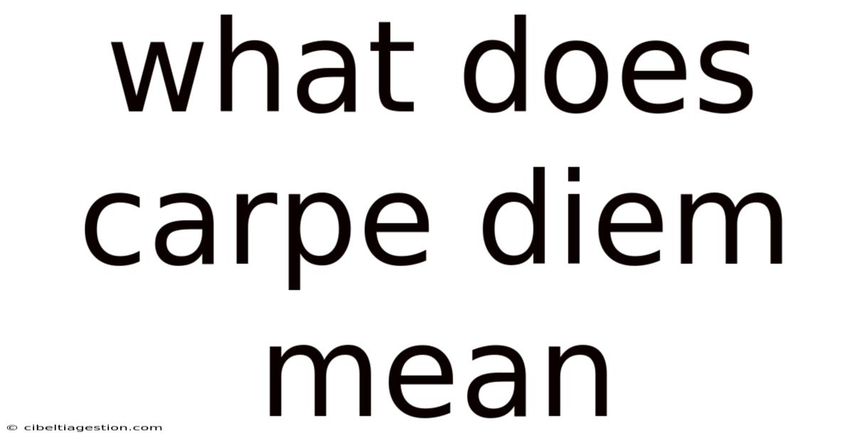 What Does Carpe Diem Mean