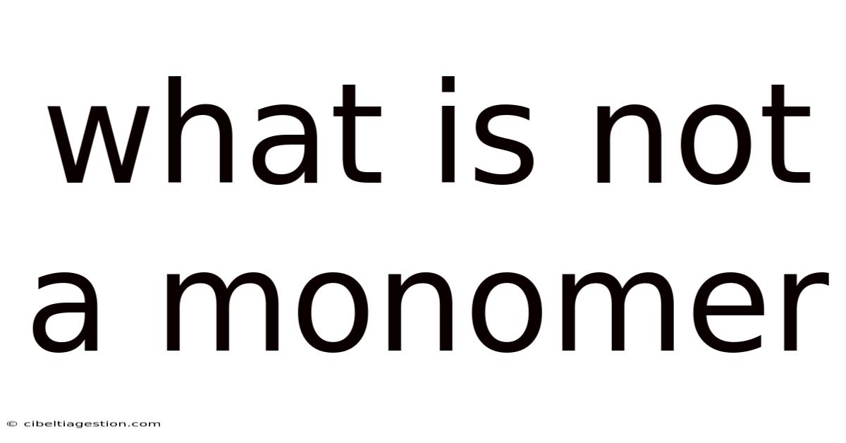 What Is Not A Monomer