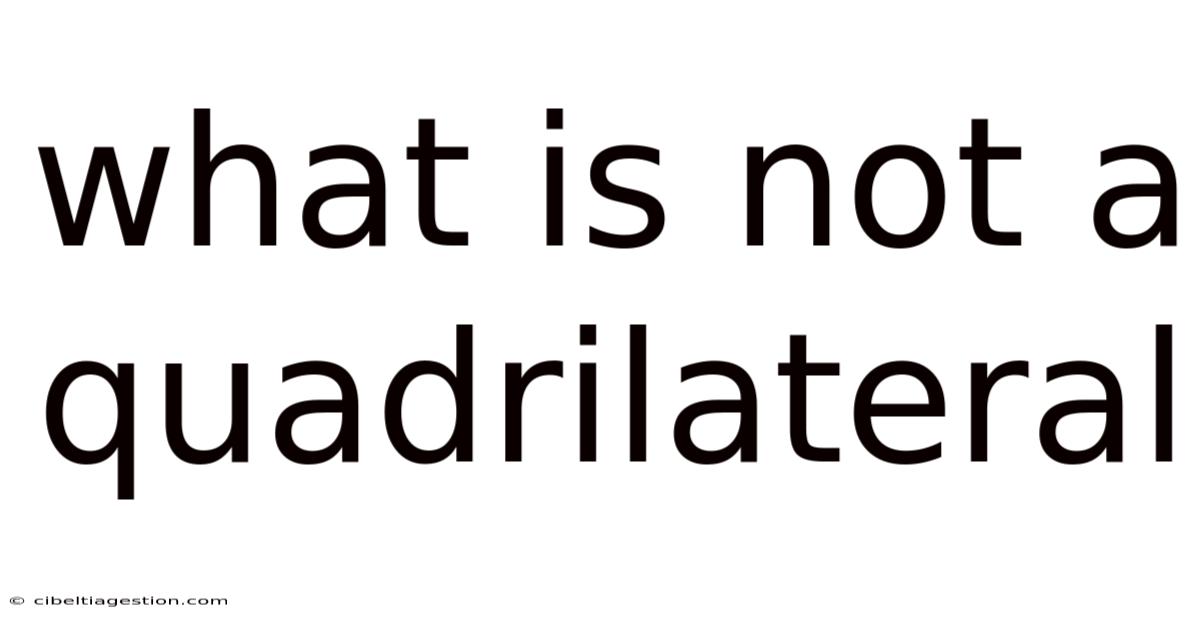 What Is Not A Quadrilateral