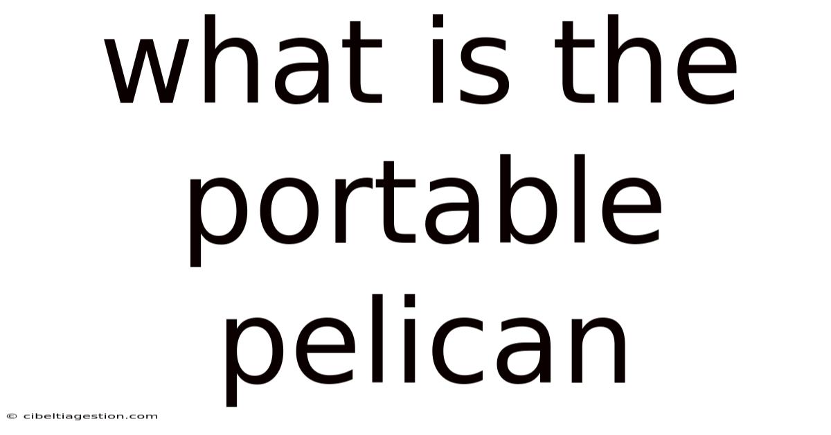 What Is The Portable Pelican
