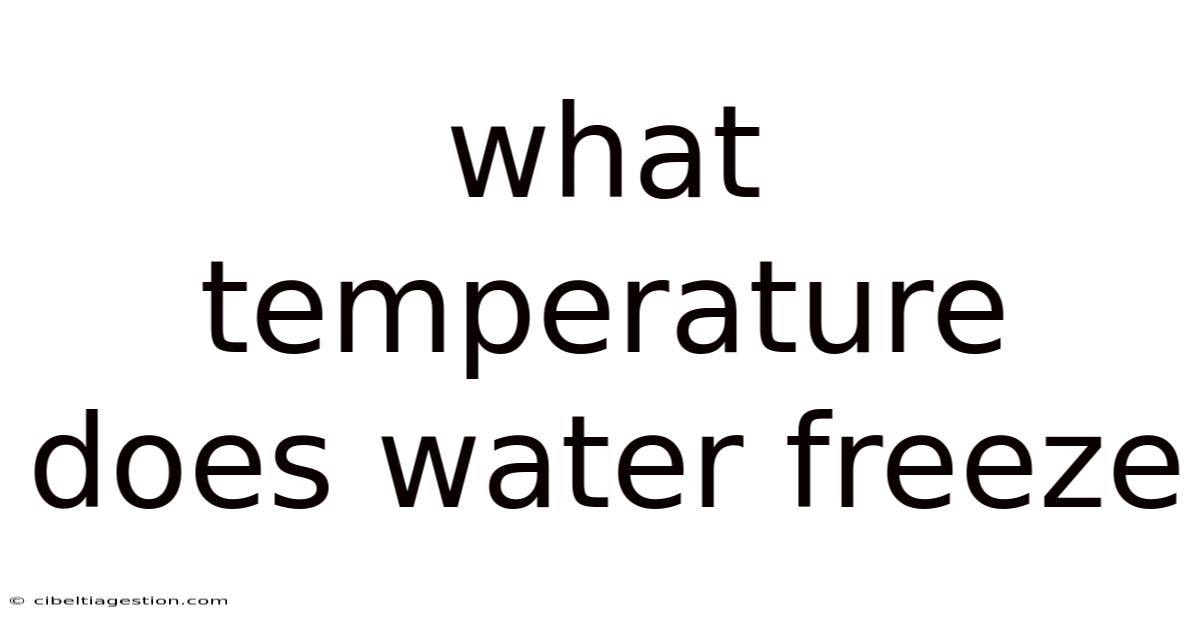 What Temperature Does Water Freeze