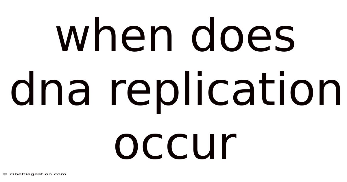 When Does Dna Replication Occur