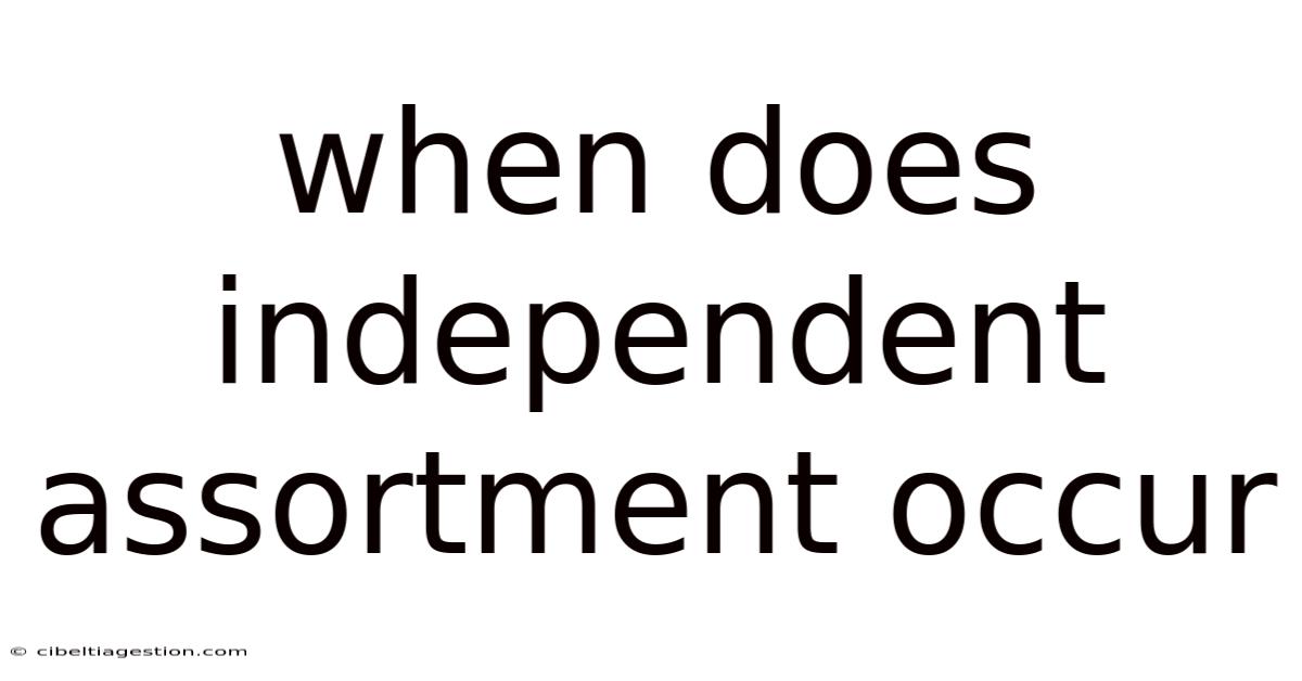 When Does Independent Assortment Occur