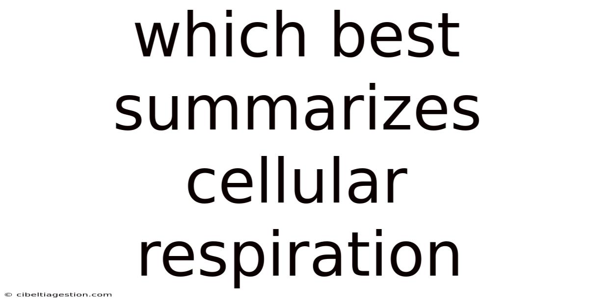 Which Best Summarizes Cellular Respiration