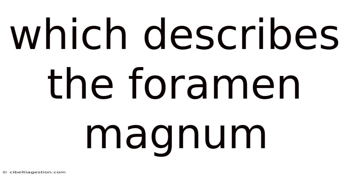 Which Describes The Foramen Magnum