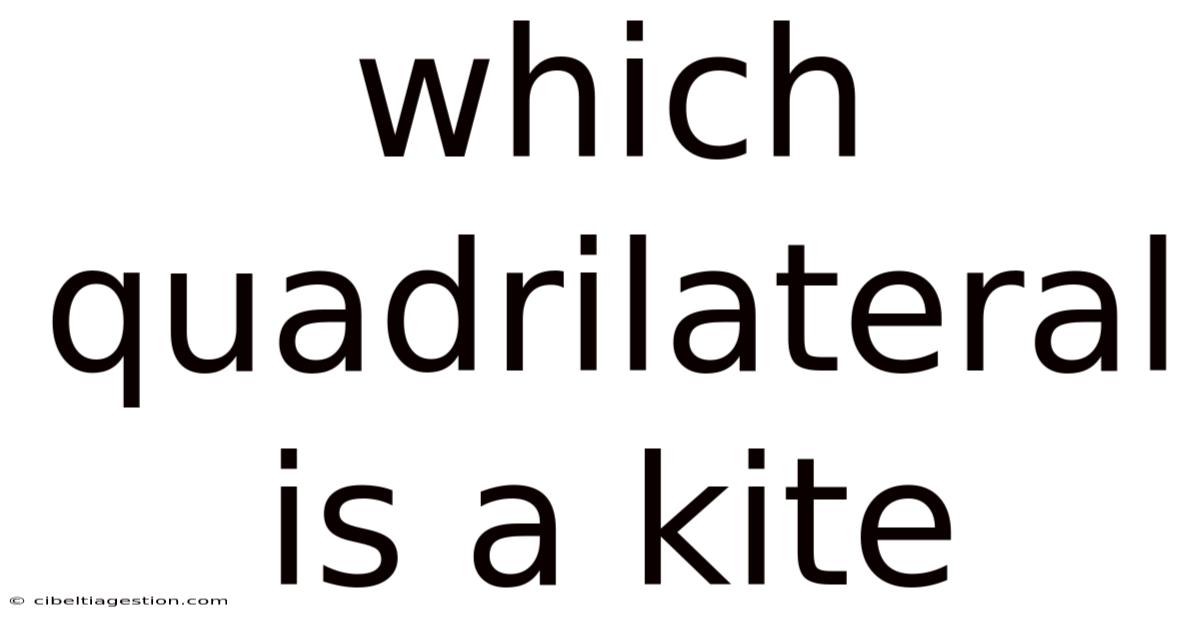 Which Quadrilateral Is A Kite