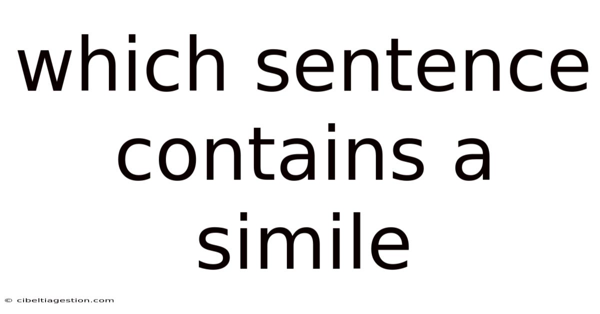 Which Sentence Contains A Simile