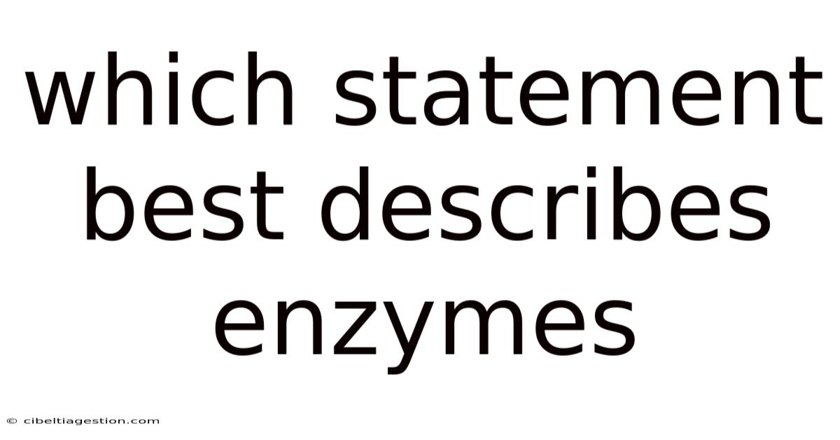 Which Statement Best Describes Enzymes