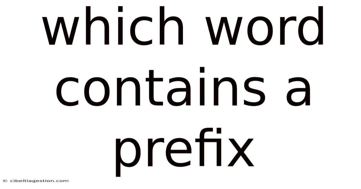 Which Word Contains A Prefix